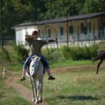 Seminar "Bogenschießen vom Pferd"